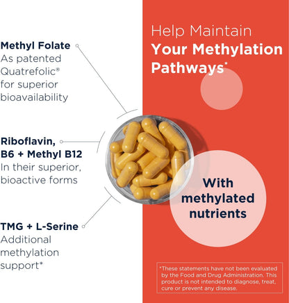 Designs for Health Homocysteine Supreme - Methylated B Vitamins with Riboflavin, B6, B12, Folate, L-Serine & TMG for Brain Support and Heart Health - Methylated Multivitamin (60 Capsules)