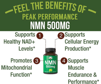 NMN Supplement – Stabilised Nicotinamide Mononucleotide 500mg per Capsule | Ultra High Strength (2 Capsules = 1,000mg) for NAD+ Boost and Healthy Ageing