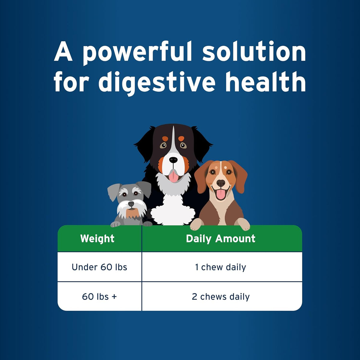 Pet Protect Digestive Health Supplement with Probiotics for Dogs, Vet-Formulated Lactoquil, Chicken-Flavoured Soft Chews (60 Count) - görsel 7