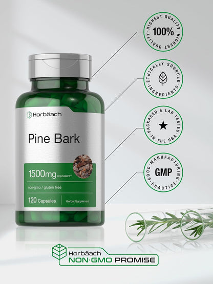 Horbäach Pine Bark Extract Capsules – 120 Count, Non-GMO, Gluten-free