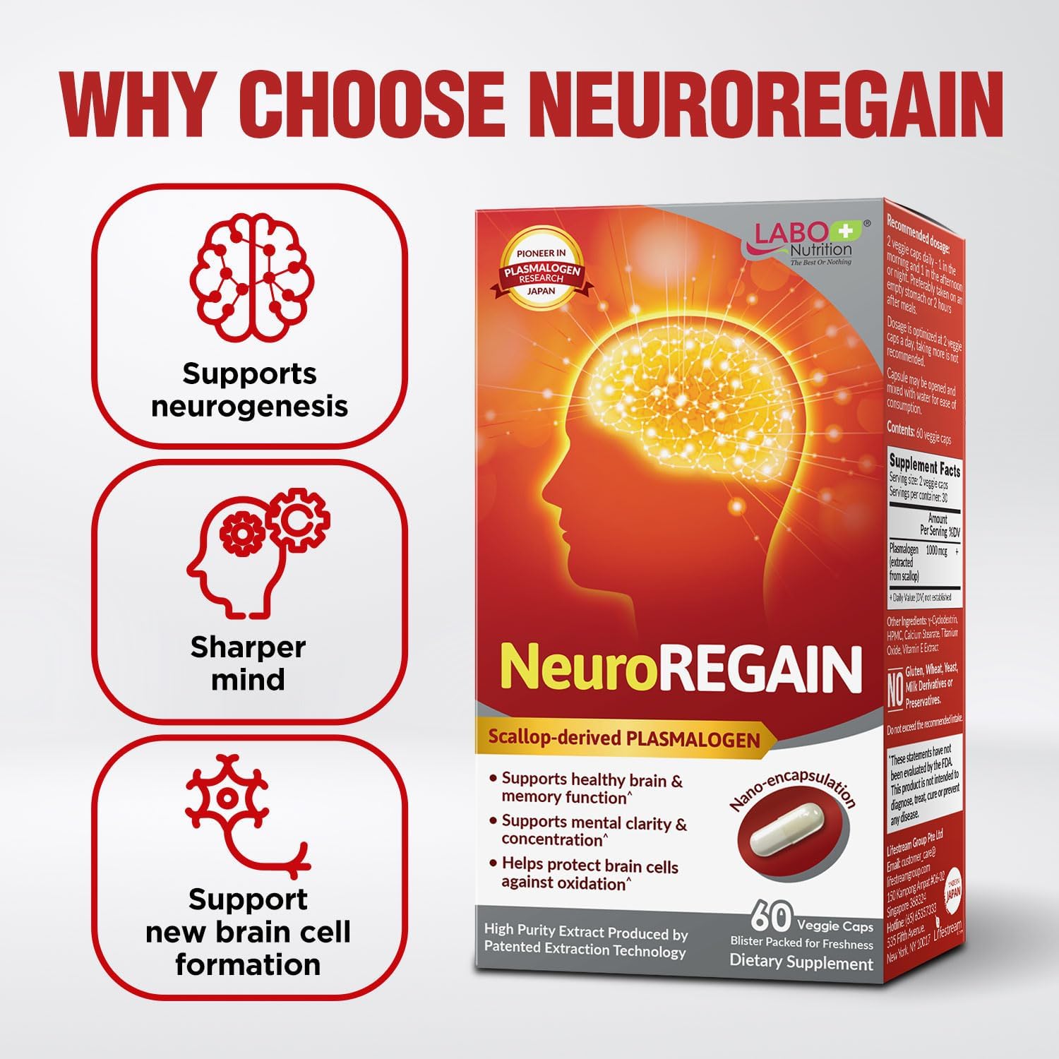 LABO Nutrition NeuroREGAIN – Scallop-derived PLASMALOGEN for Brain Health, Memory, Alertness, Learning and Concentration – Suitable for Seniors and Adults – 3-Pack - görsel 5