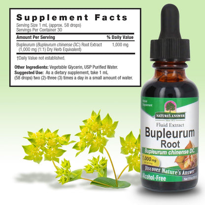 Nature's Answer Bupleurum Root – Herbal Food Supplement – 1000mg (30 ml)