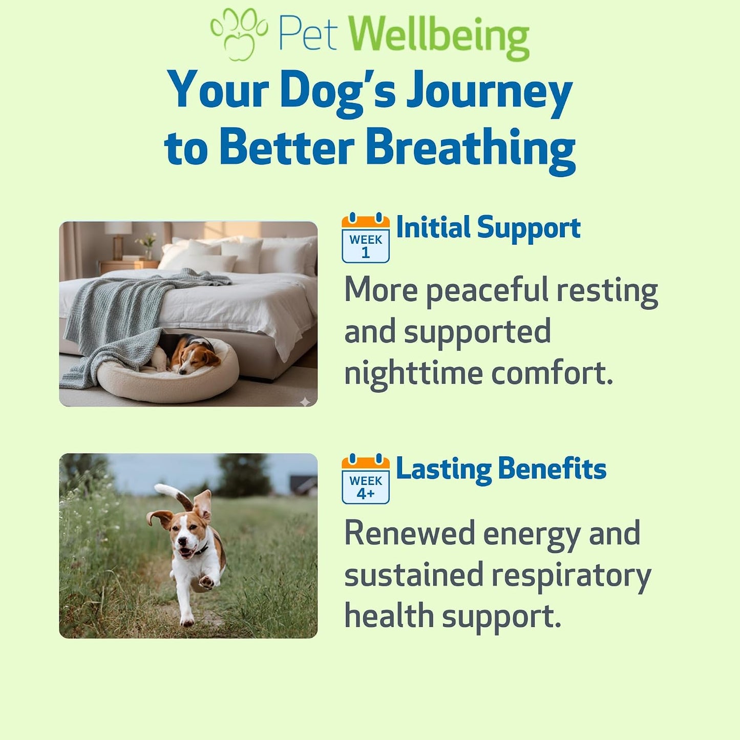 Pet Wellbeing Respir-Gold for Dogs - NASC Certified & Vet-Formulated Liquid Lower Respiratory & Lung Supplement with Black Cumin & Boswellia for Allergic Airway & Breathing, Natural Bacon Flavour, 118 ml - görsel 5