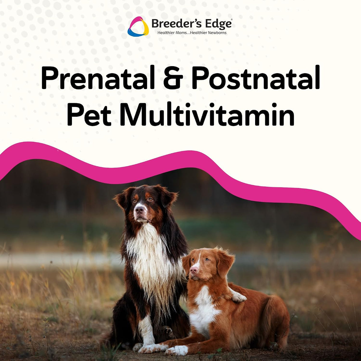 Breeder’s Edge Breed to Wean Prenatal and – Antioxidants: Help protect the body from oxidative stress during – Image 4