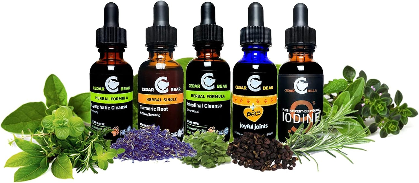 Cedar Bear Brainy & Bright for Kids - Herbal Supplement for Calm and Mental Focus 2 fl oz (60 ml) - görsel 4