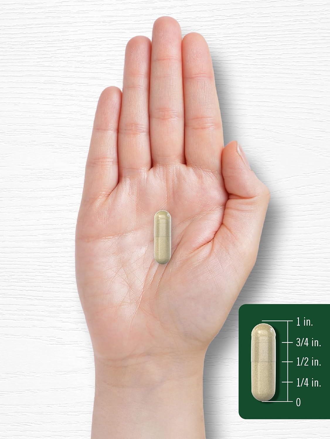 Carlyle Sage Supplement - High Strength Leaf Extract, 180 Capsules - görsel 7