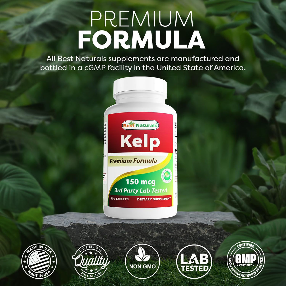 Best Naturals Kelp Supplement 150 mcg, 300 Tablets - görsel 5