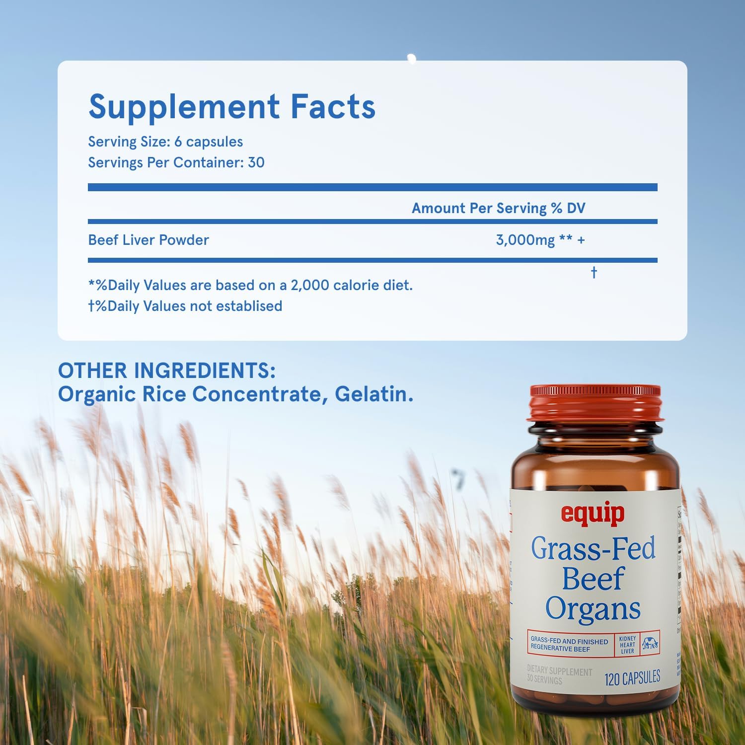 Equip Grass-Fed Beef Organs - Regenerative Freeze-Dried Liver, Kidney & Heart Capsules - görsel 5