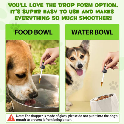 Oimmal Probiotics for Dogs – 3 in 1 Liquid Probiotic & Digestive Enzymes for Gut Health, Itchy Skin, Allergies & Immunity