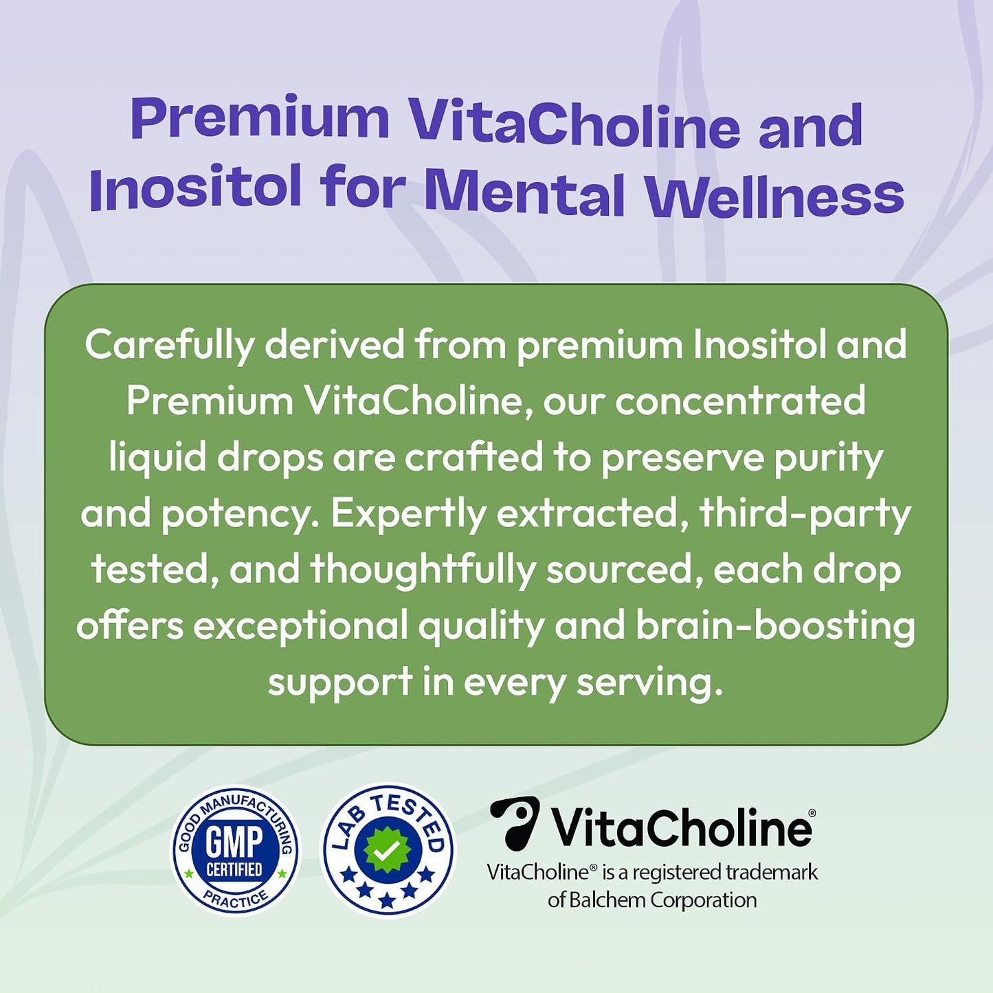 Inositol & Choline Liquid Drops – Vegan, Non-GMO, Easy to Take – Enhanced Absorption Inositol Supplement – Pregnancy Support – Supports Cellular Health & Overall Wellness (Mixed Berry, 60 ml) - görsel 7