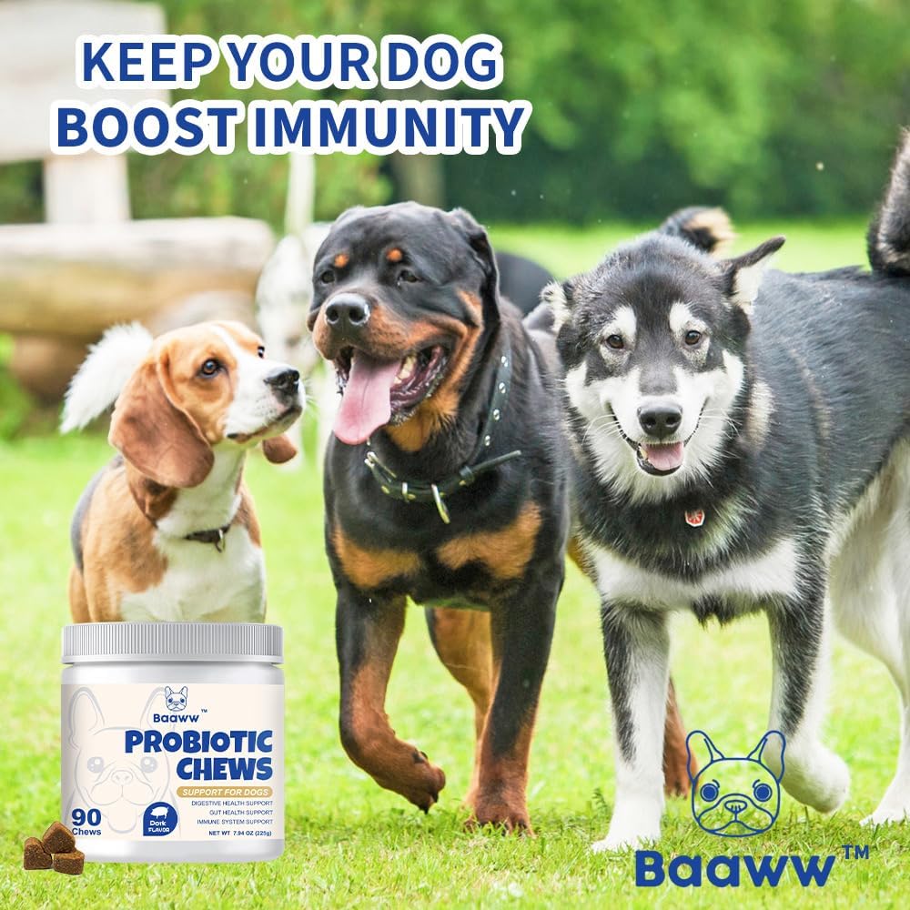 Baaww Probiotics for Dogs - Digestive Health & Immune Support Soft Chews (6 Billion CFUs, 90 Count) - görsel 5