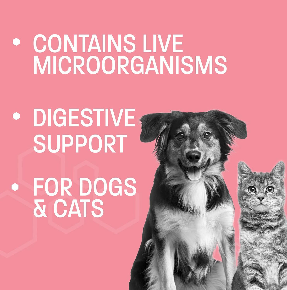 Pet Health Pros Probiotic Oral Paste for Dogs & Cats (30 cc) - görsel 4