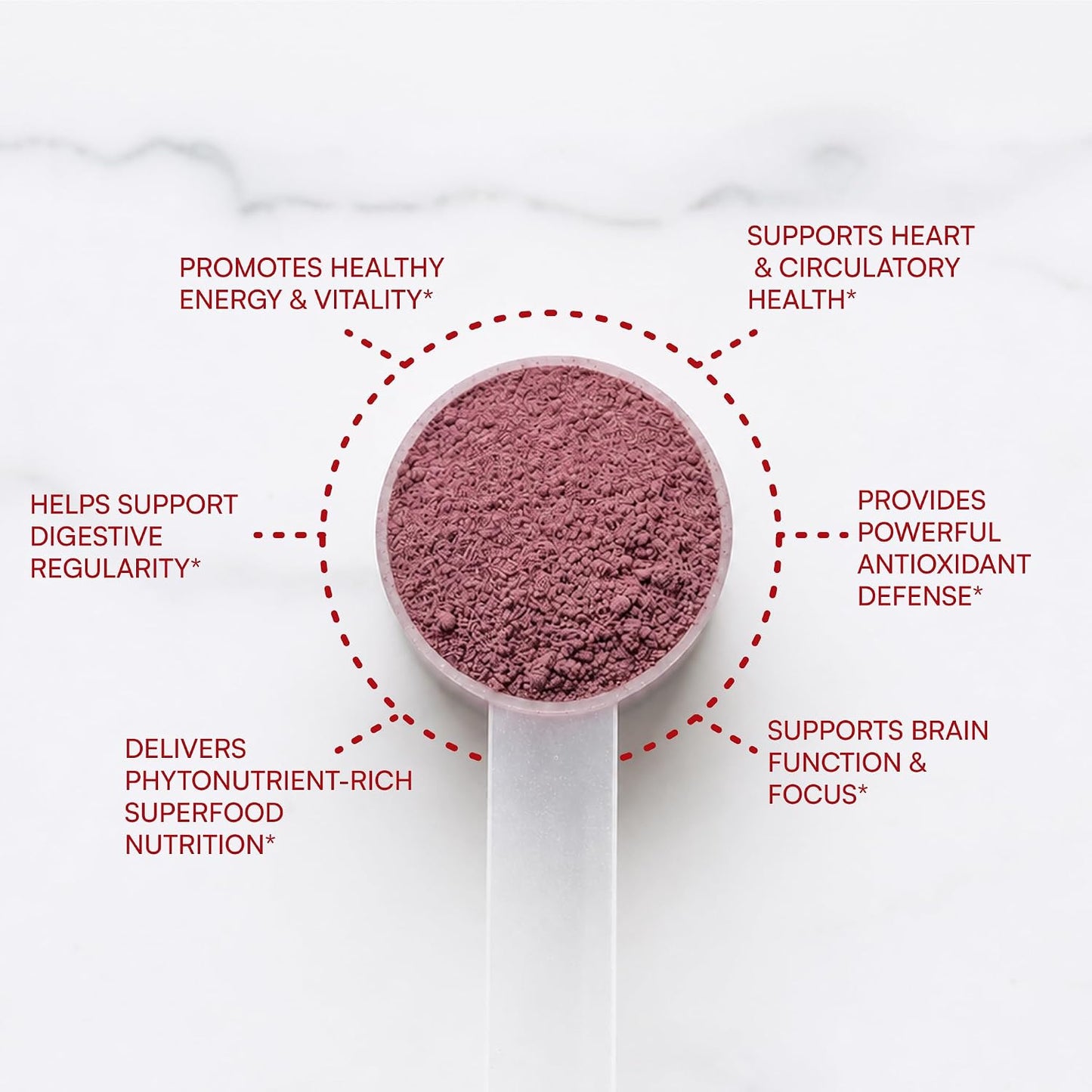 Purity Products Super Reds Powder – Phytonutrient Superfood Drink Mix with FloraGLO Lutein, 330g (30-Day Supply) - görsel 3