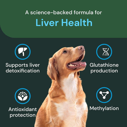 VetriScience Veterinary Strength Liver Health Chews - 60 Chews