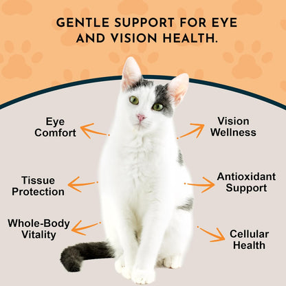 Animal Essentials Eye Defence Support for Dogs & Cats - Organic Bilberry Calendula Herbal Blend, Alcohol Free - 30 ml