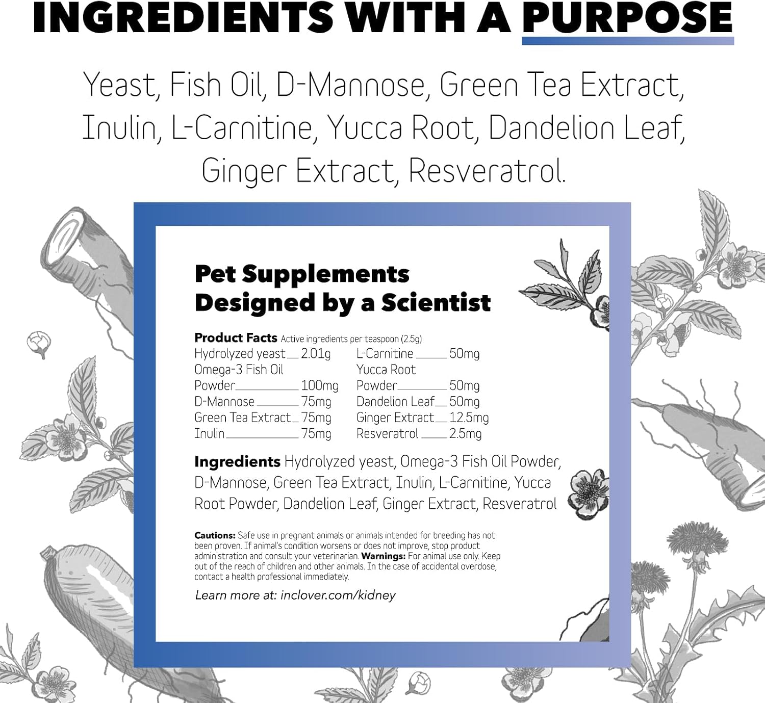 InClover Kidney – Bladder and Urinary Health Supplement for Dogs and Cats - görsel 3