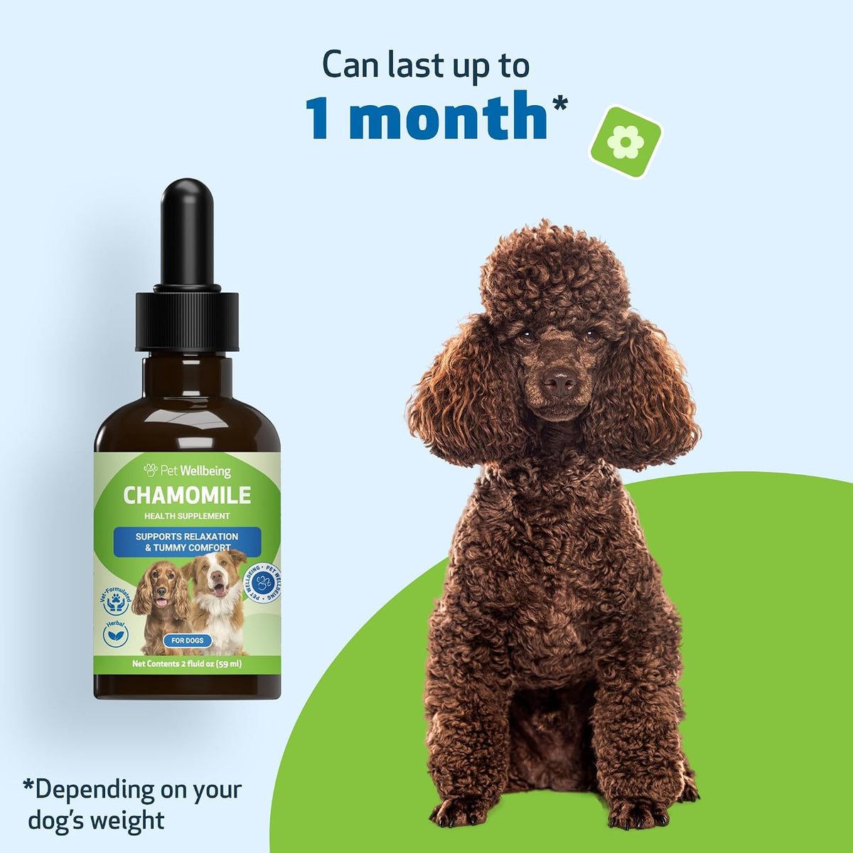 Pet Wellbeing Chamomile for Dogs - Organic Single Herb Supplement - Gentle Digestive Support, Holistic Calming - Pure Chamomile Extract - Vet-Formulated Liquid Wellness 2 oz (59ml) - görsel 8
