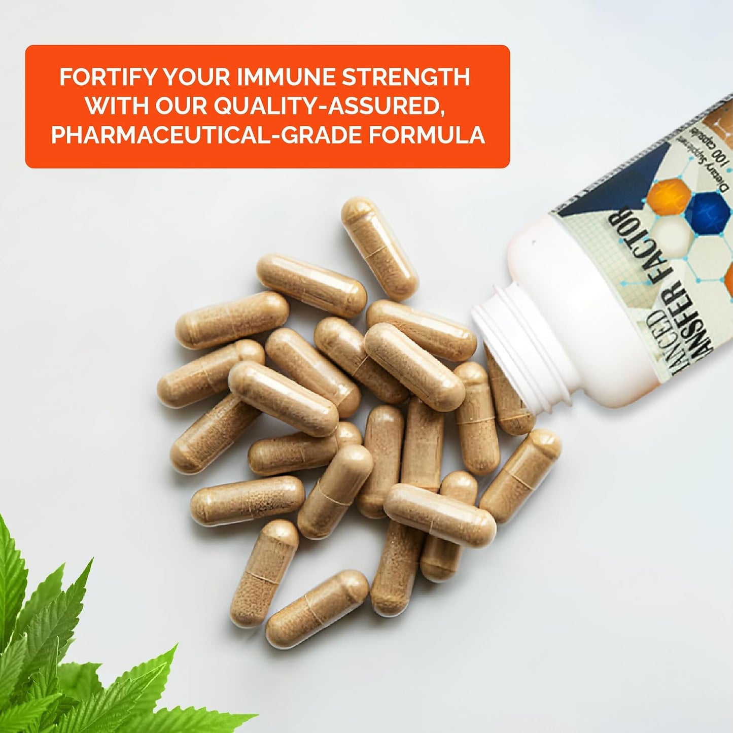 Transfer Factor Enhanced - Immune Support Supplement with Cow Colostrum, Egg Yolk & Mushroom Blend, 100 Capsules - görsel 7