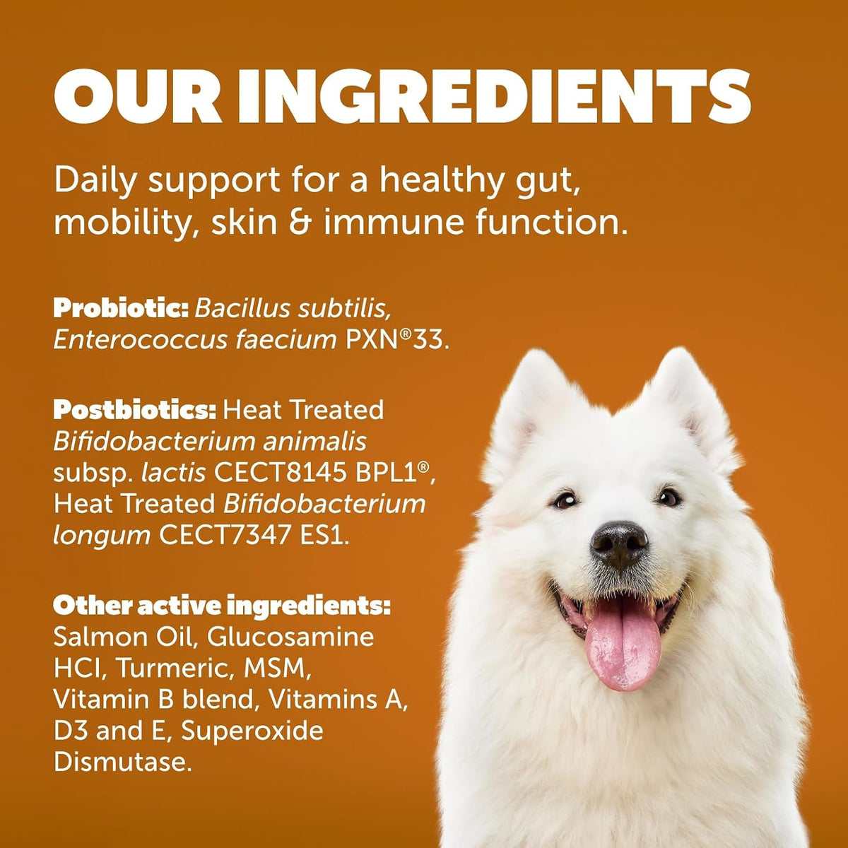 Protexin Daily Care Gut+ Wellness Dog Chews, Duck and Carrot Flavour, 60 Count - görsel 8