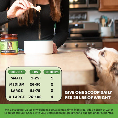 Pet Honesty Dog Probiotic Powder with Digestive Enzymes and Prebiotics - Pumpkin Flavour, 90 Scoops