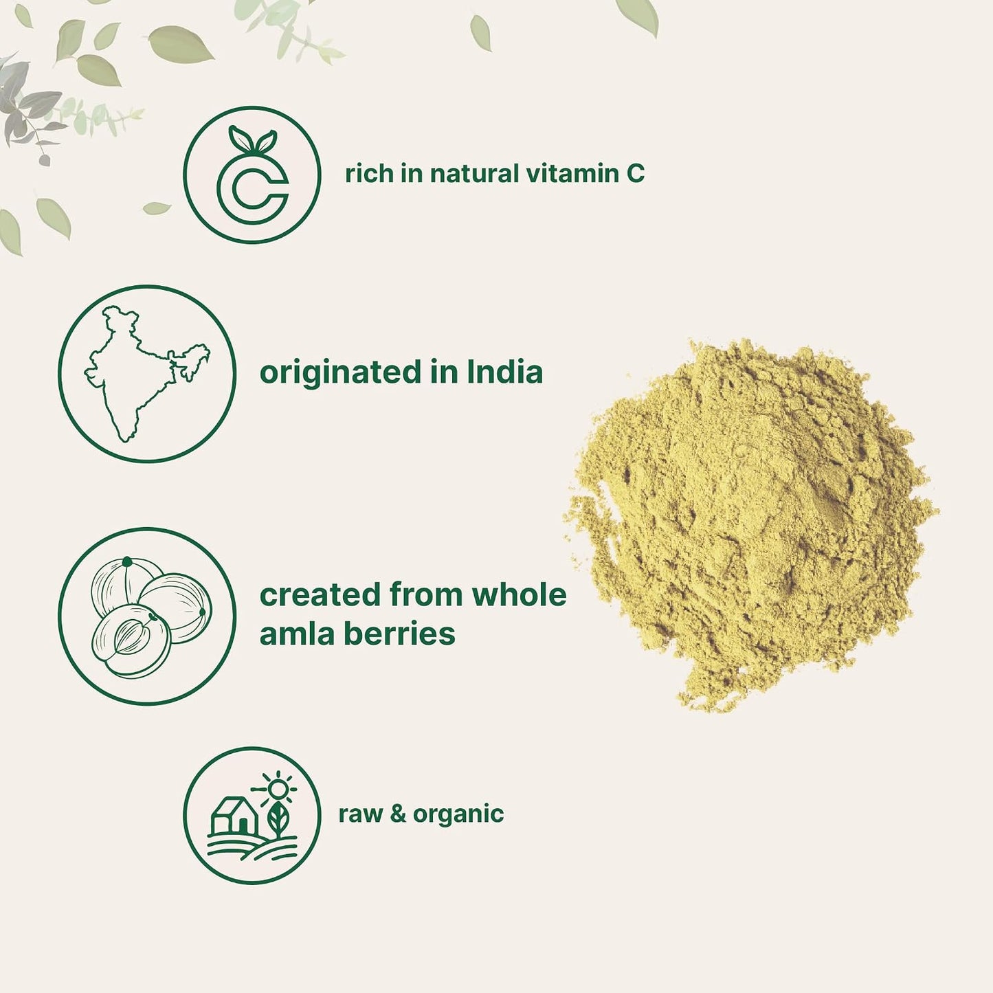 Micro Ingredients Organic Amla Powder (Amalaki) - 907g, India Origin Gooseberry Powder - görsel 4