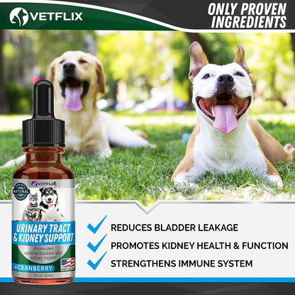 UTI and Kidney Support Liquid for Dogs, Cats, Puppies and Kittens, 60 ml