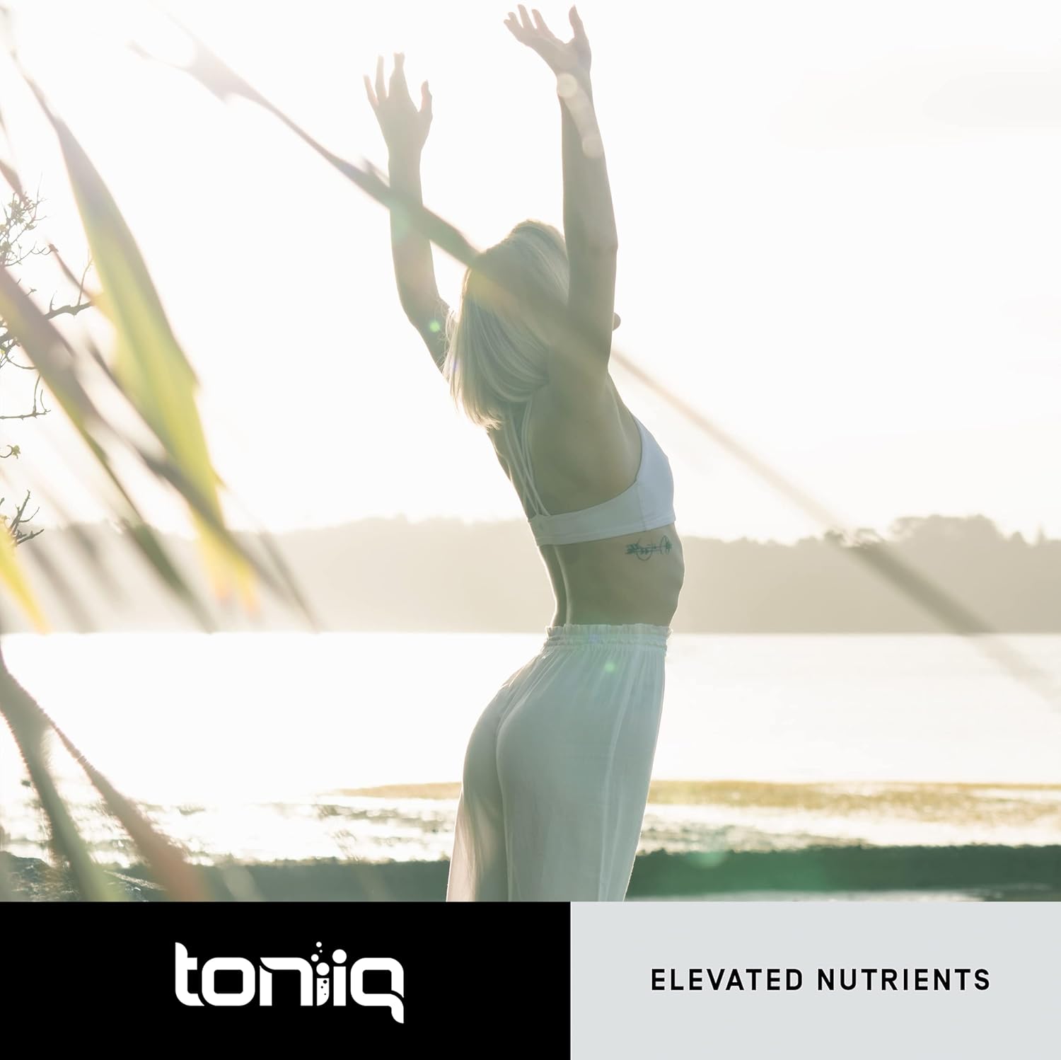 Toniiq Ultra High Purity Fisetin 500mg - 60 Capsules - görsel 9