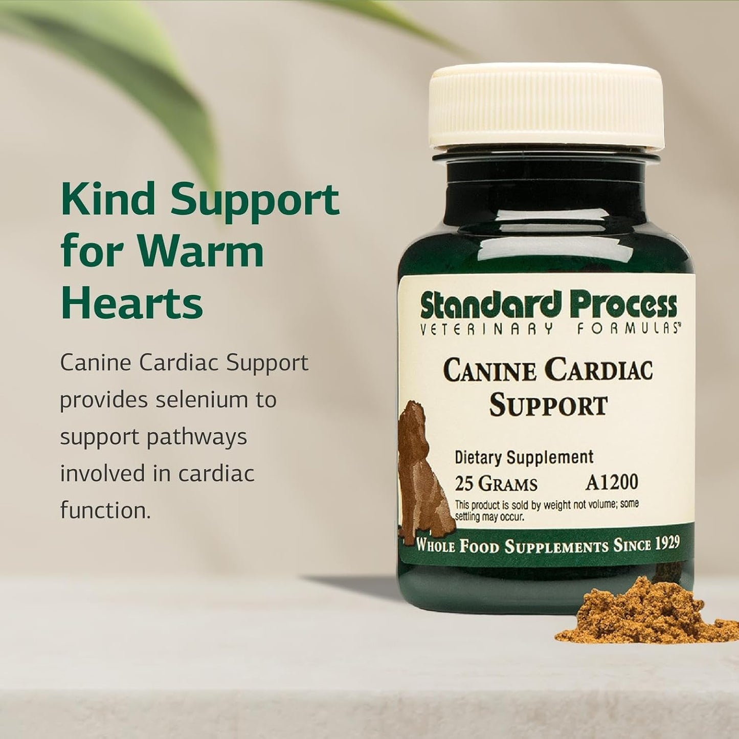 Standard Process Inc. Canine Cardiac Support - Dog Heart Health Supplement - Nutritional Formula to Support Cardiac Function - Pet Health Supplement with Selenium - 25 g - görsel 3