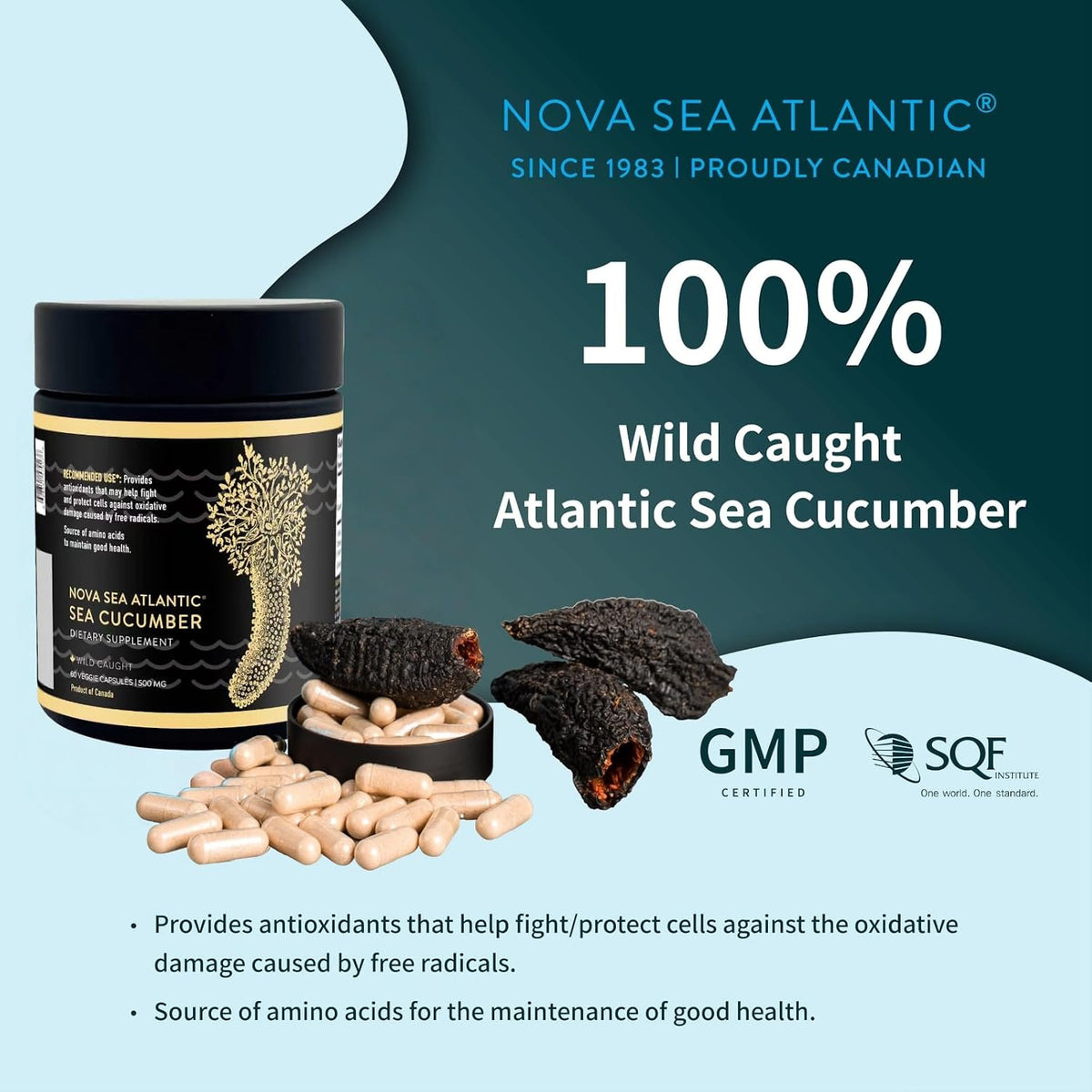 Nova Sea Atlantic Sea Cucumber Supplement – Wild Caught, 60 Capsules - görsel 2