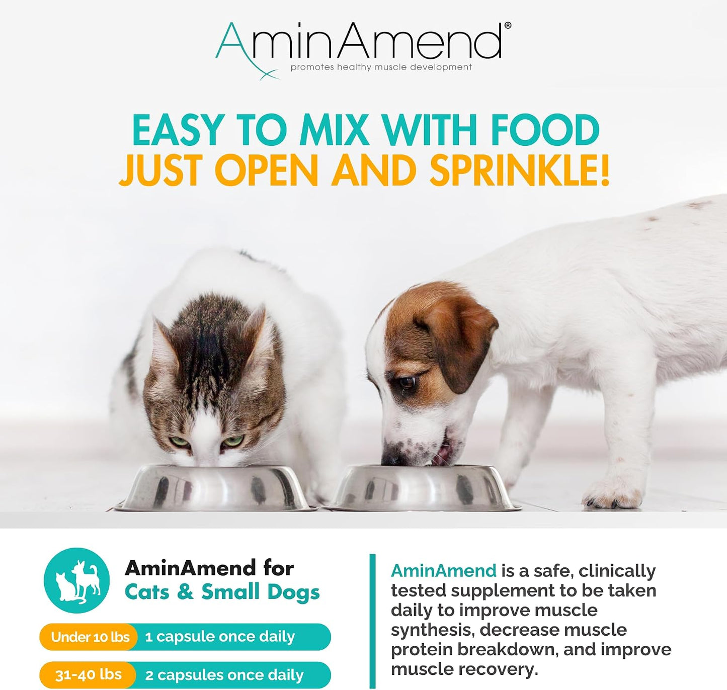AminAmend Muscle Support for Small Dogs and Cats with CaHMB and Vitamin D3 – 30 Capsules - görsel 9