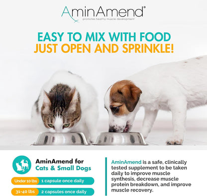 AminAmend Muscle Support for Small Dogs and Cats with CaHMB and Vitamin D3 – 30 Capsules