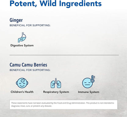 NORTH AMERICAN HERB & SPICE Inflam-eeZ - 90 Capsules - Supports Normal Immune & Inflammatory Response