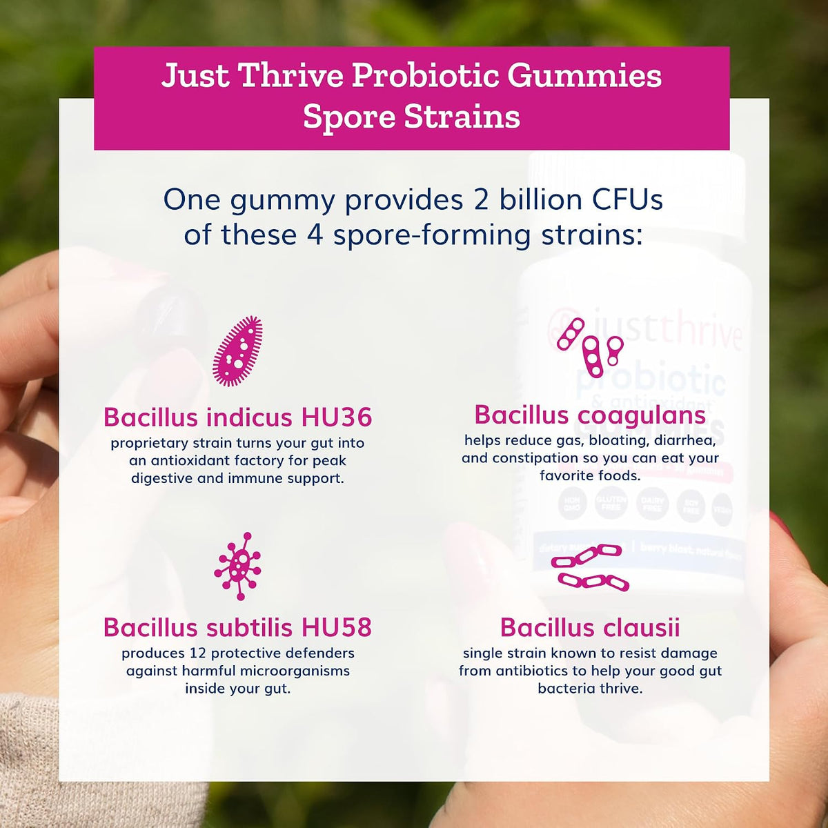 Just Thrive Probiotic Gummies - Berry Blast - 30 Count - görsel 5