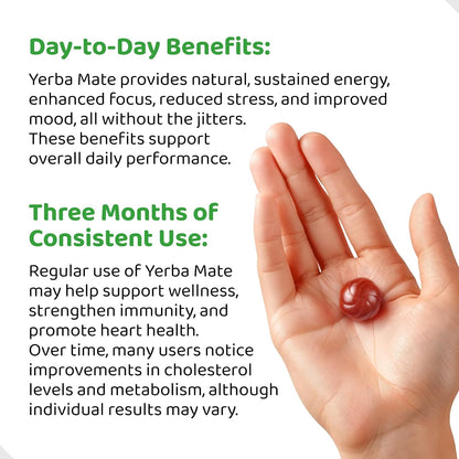 HOLYMARY Yerba Mate Gummies, Raspberry Flavour - Energy, Focus, Power - Vegan, Non-GMO, Natural Ingredients, Gluten-free, 50 Gummies