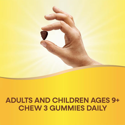Nature's Way Alive! Adult Premium Multivitamin Gummies - Full B-Vitamin Complex, Supports Energy Metabolism & Heart Function, Grape & Cherry, 90 Count