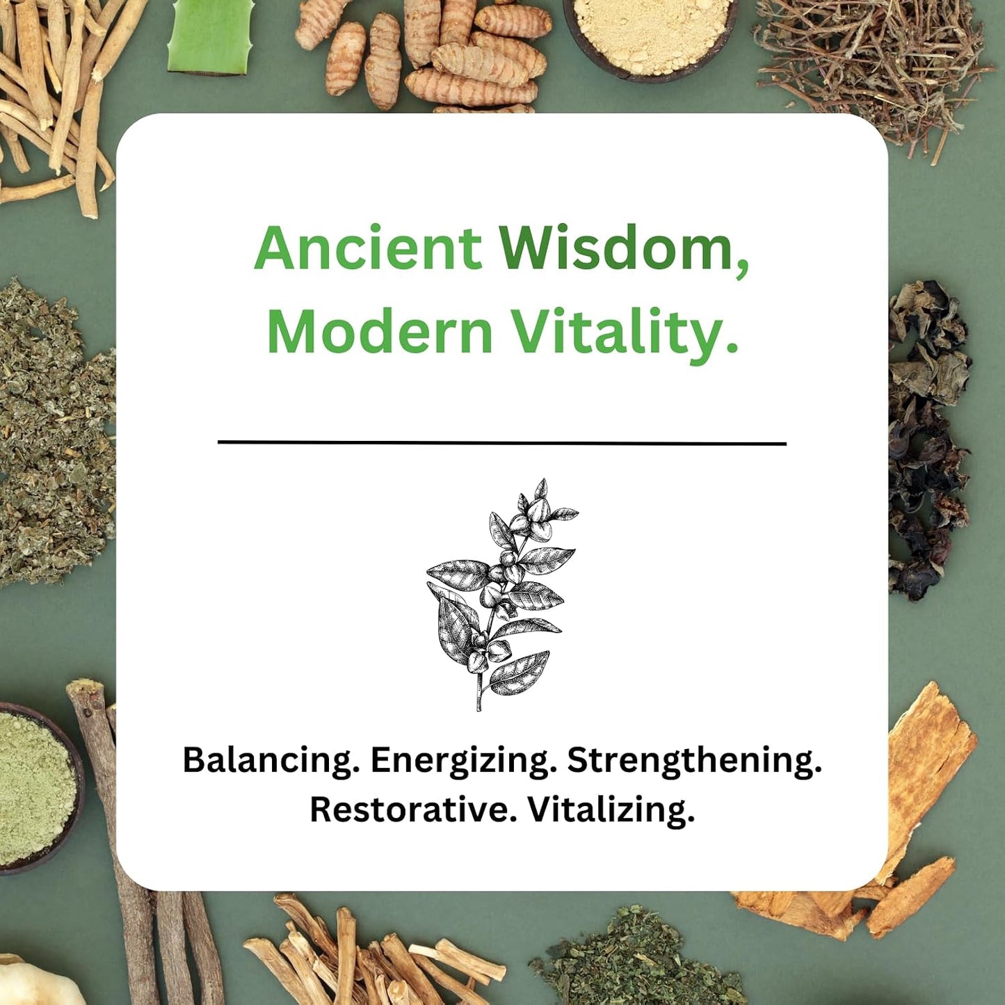 Paradise Herbs Imperial Adaptogens – Stress Support, Focus & Energy – 60 Vegetarian Capsules - görsel 5