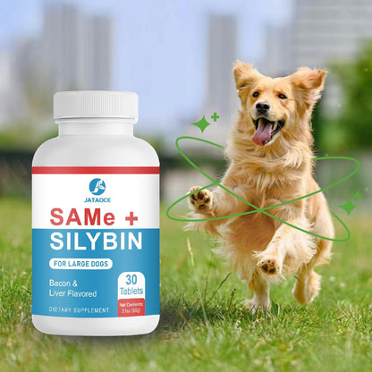 Jataoce SAMe + Silybin for Dogs – Liver & Brain Support Supplement