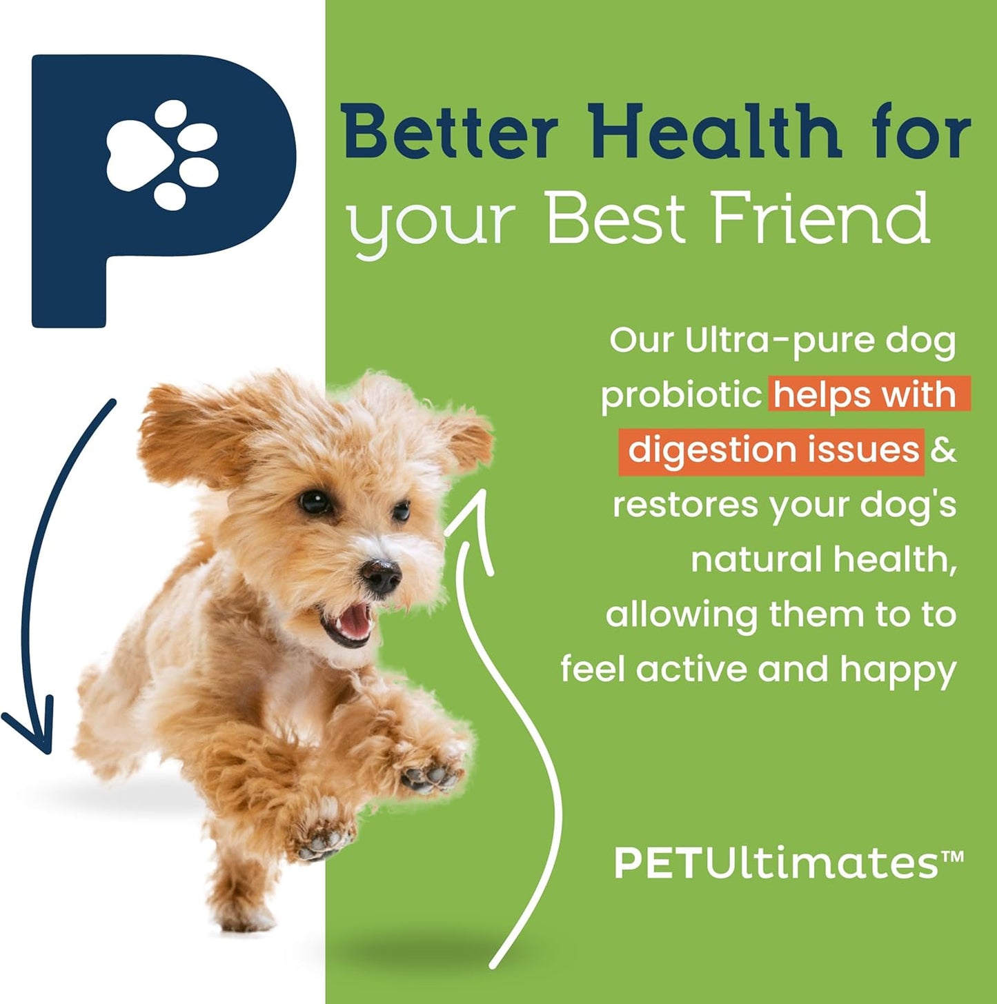 Pet Ultimates Pet Probiotics for Dogs (137g/120 Servings) – 22-Species Dog Probiotics Powder – Daily Skin and Coat Supplement for Dogs with Digestive Enzymes for Gut Health & Seasonal Comfort - görsel 2
