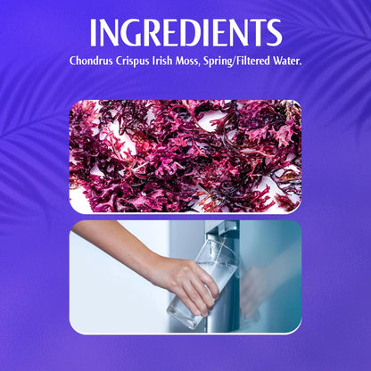 Organic Raw Purple Chondrus Crispus (Irish Moss) Sea Moss Gel - 227 g