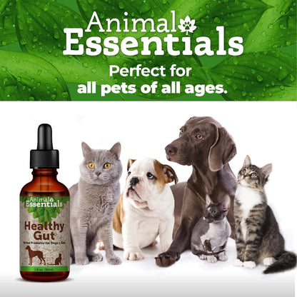 Animals' Apawthecary Prebiotic Plus (30 ml)