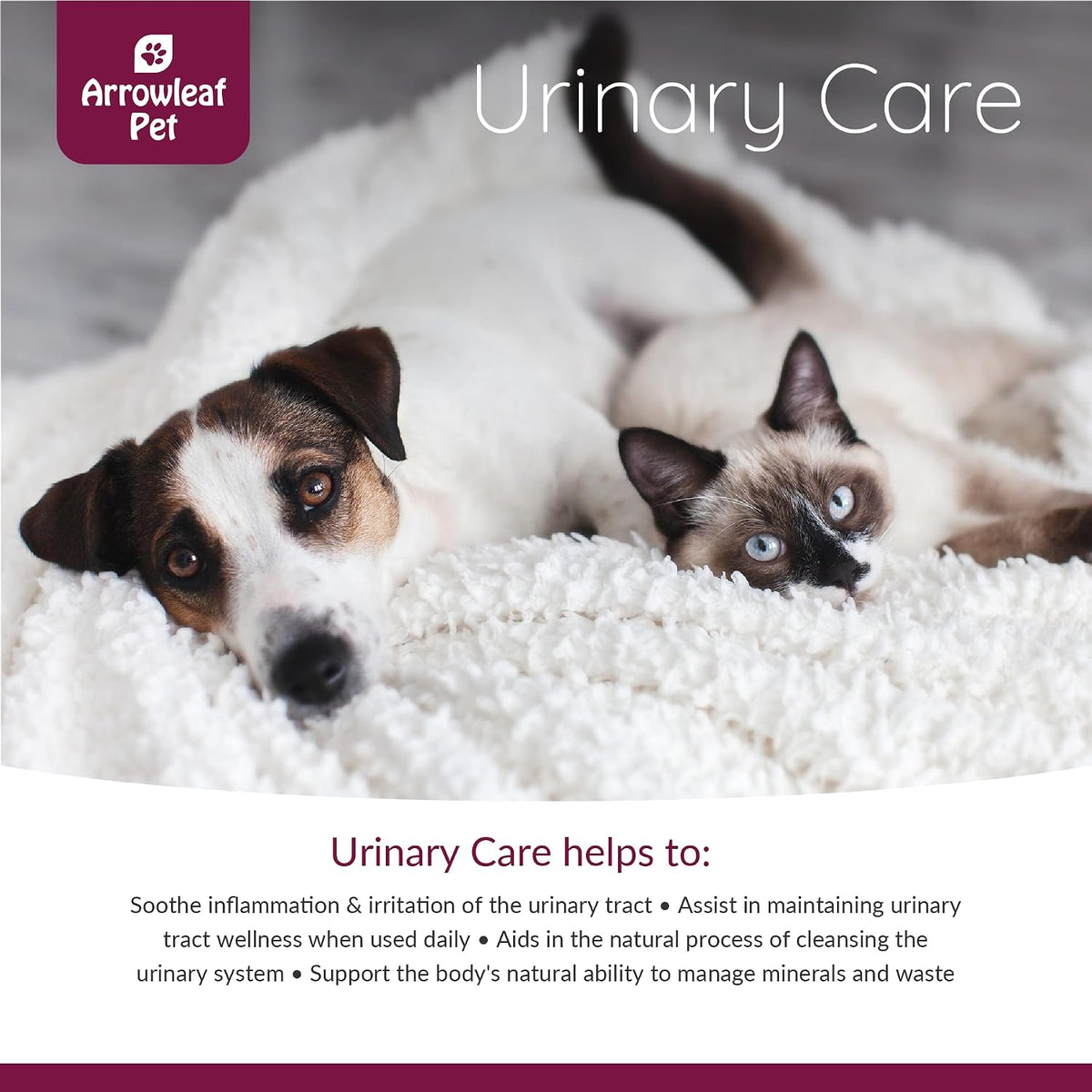 Arrowleaf Pet Urinary Care for Cats and Dogs - Herbal Tincture for Urinary Tract Support, 100mL - görsel 4