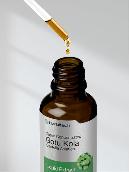 Horbäach Gotu Kola Extract - Alcohol Free Liquid Supplement, 60 ml