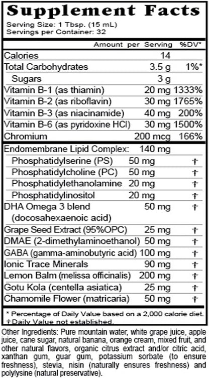 Buried Treasure Added Attention Children's Learning Support with GABA, DHA, B Vitamins and Herbal Blend 473 ml