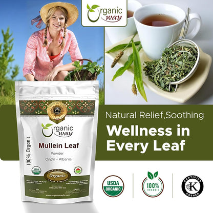 Organic Mullein Leaf Powder – European Wild-Harvest, USDA Organic, Kosher, Vegan, Non-GMO & Gluten-free (8 oz)