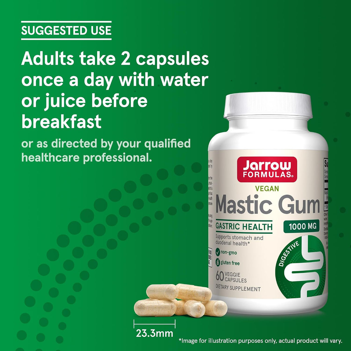 Jarrow Formulae Mastic Gum 1000 mg - 60 Veggie Capsules (12-Pack) - görsel 7