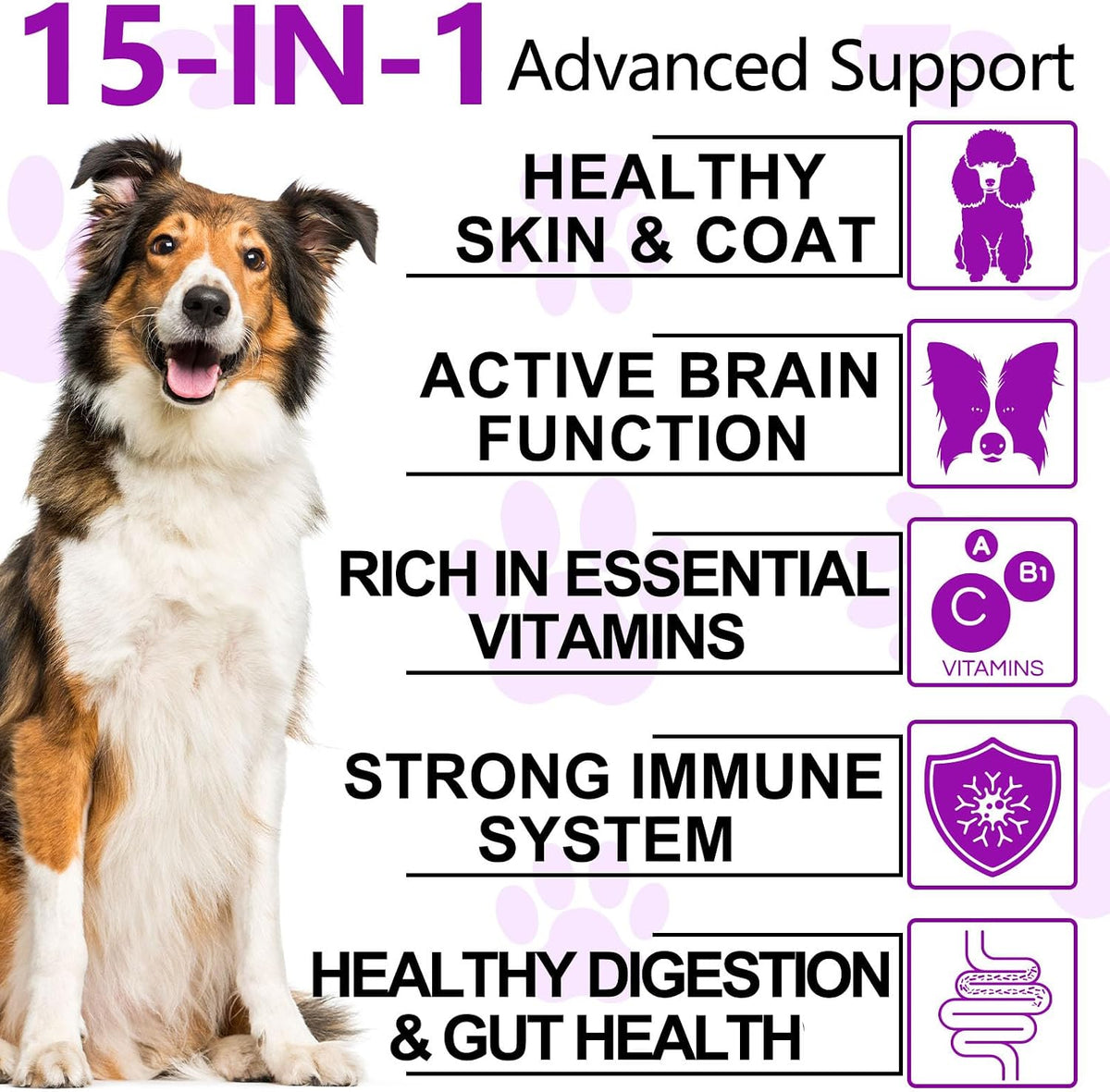 Oimmal 15-in-1 Dog Multivitamin Chews with Glucosamine and Probiotics - 150 Soft Chews - görsel 2