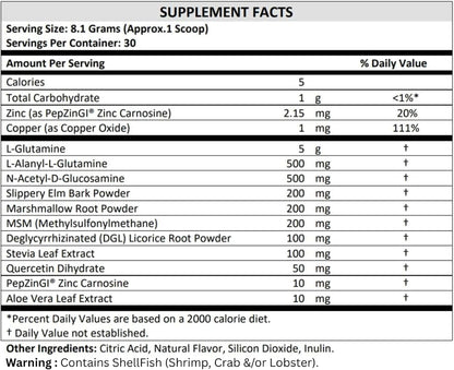 TERRA ORIGIN Healthy Gut Powder - Berry Flavour, 30 Servings