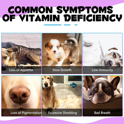 15-in-1 Dog Multivitamin Liquid - All-in-One Supplement for Digestive, Skin, Coat, Hip & Joint Support (60 ml)