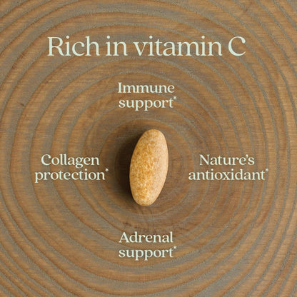 New Chapter Fermented Vitamin C + Elderberry, ONE Daily, 60 Tablets
