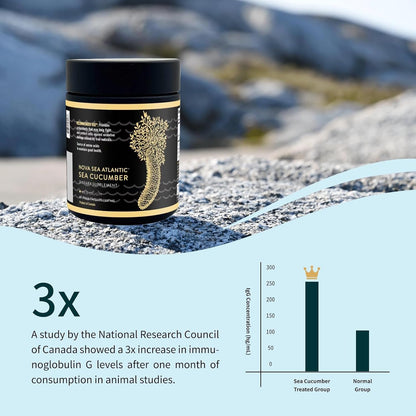 Nova Sea Atlantic Sea Cucumber Supplement – Wild Caught, 60 Capsules